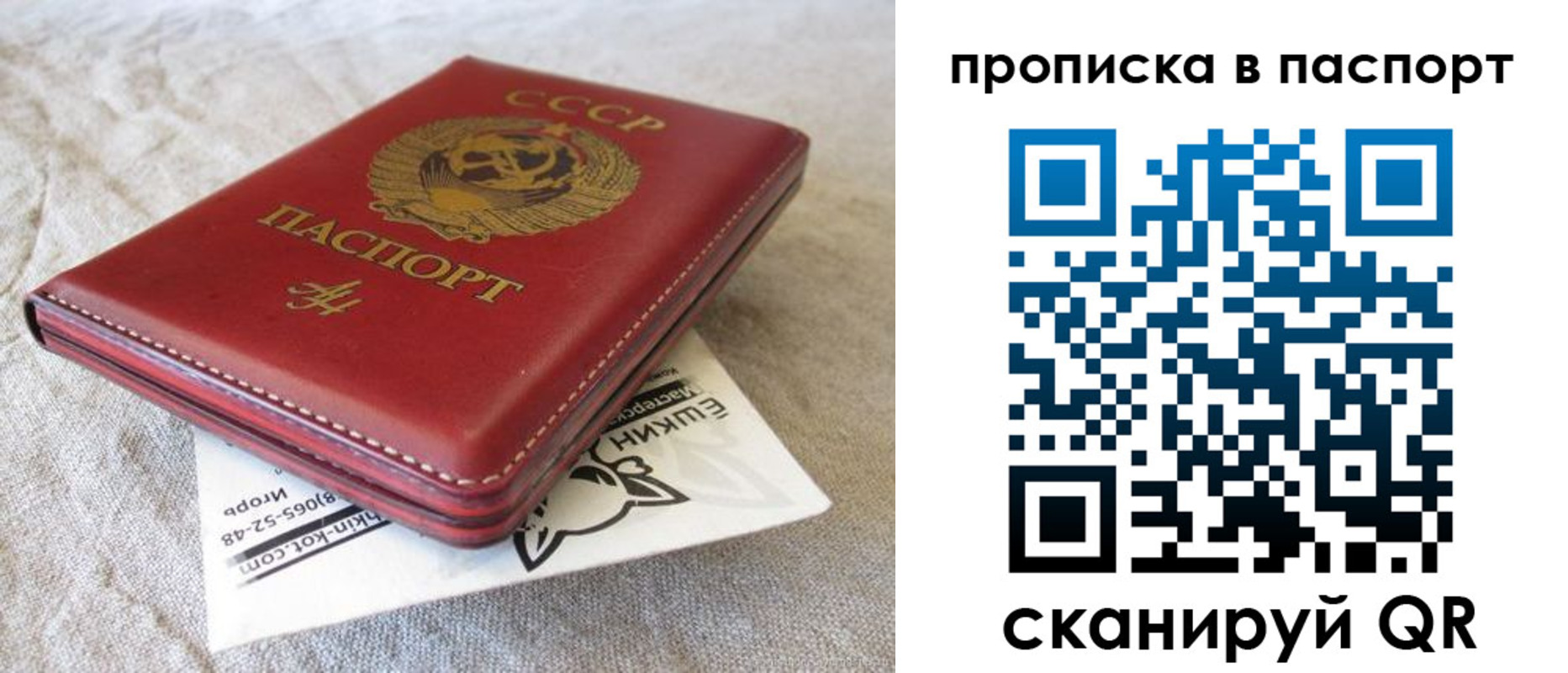 прописка штамп в Новозыбкове
